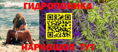 а пвп мука Будённовск